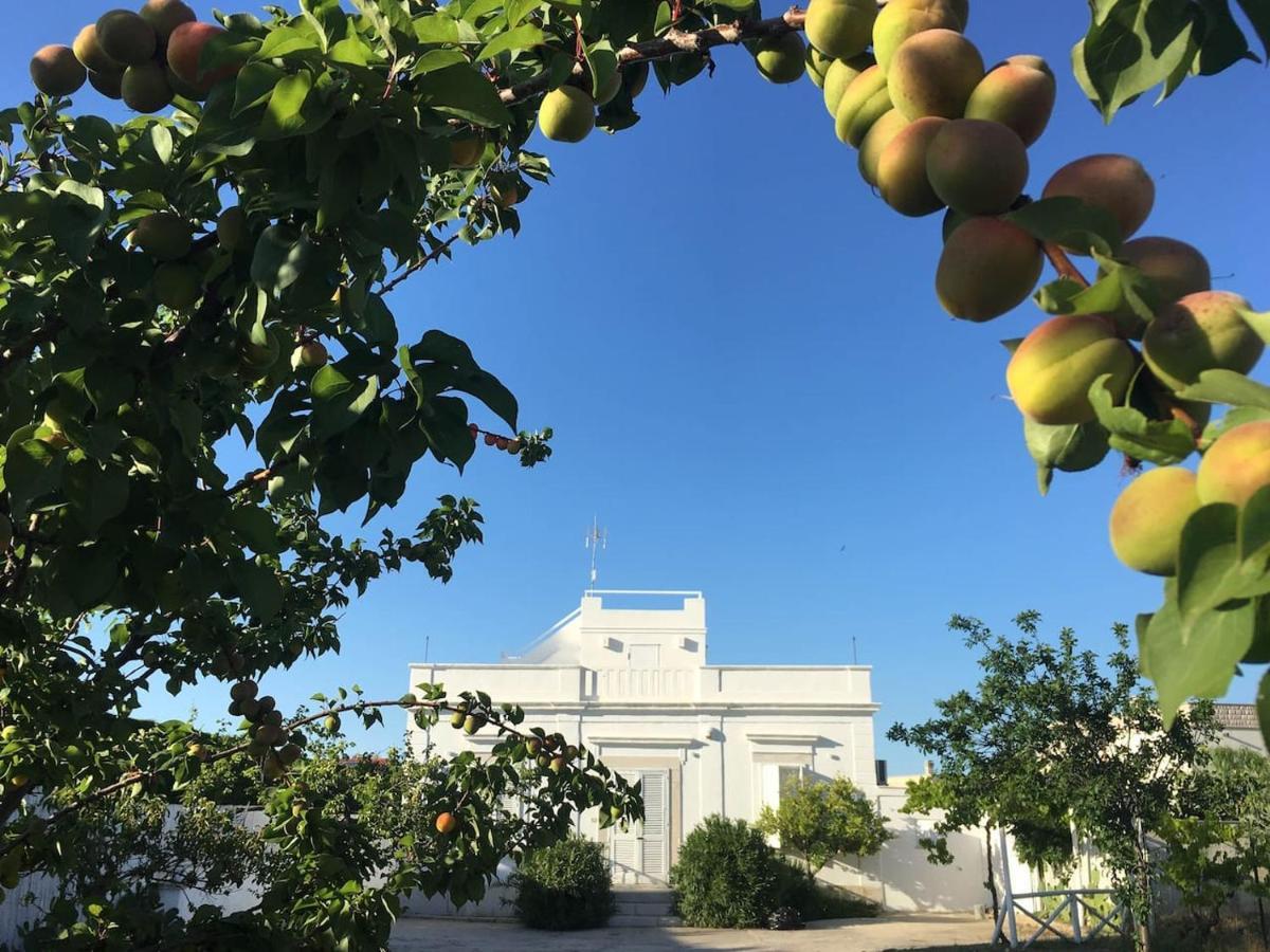 Villa Matinella Trani Buitenkant foto